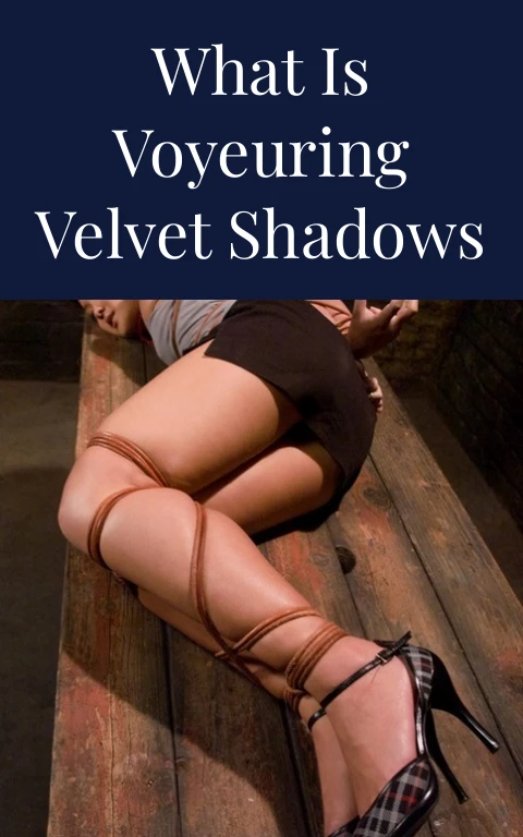 What is Voyeuring Velvet Shadows